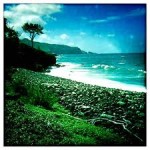 Hard Money Land Loans